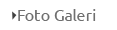 Galeri